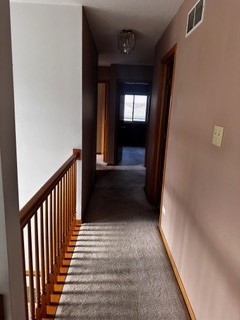 corridor featuring carpet floors