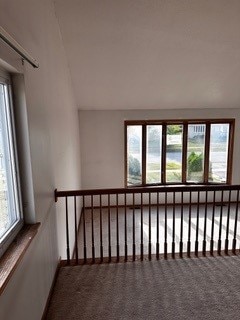 interior space featuring carpet flooring and a healthy amount of sunlight