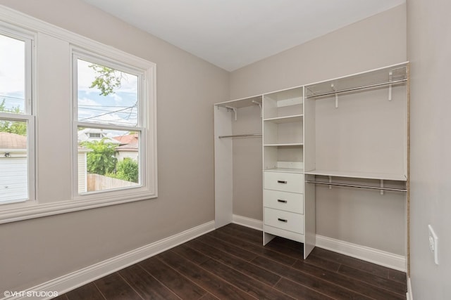 walk in closet featuring dark wood-type flooring