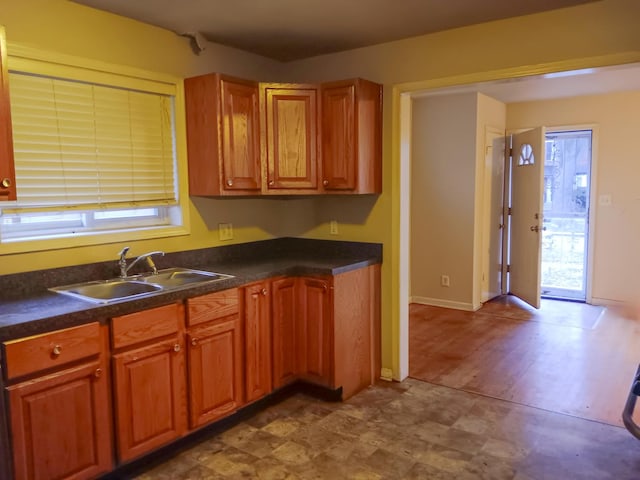 kitchen featuring wood-type flooring and sink