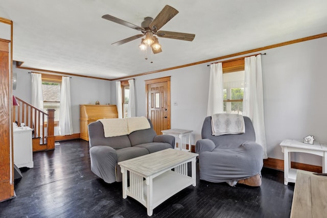 living room with crown molding, dark wood-type flooring, and ceiling fan