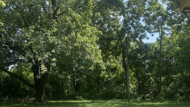 view of landscape