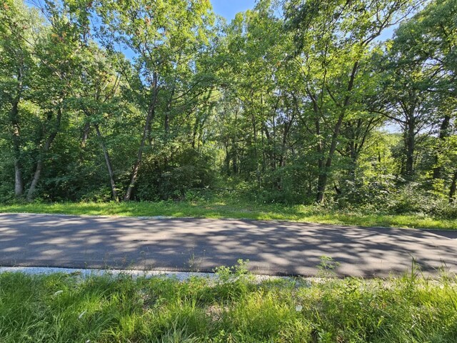 11 E Old Mud Dr, Crete IL, 60417 land for sale