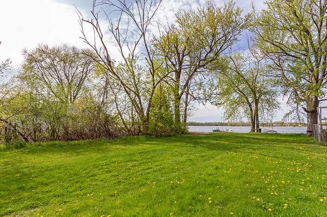 28406 W Park Ave, Wauconda IL, 60084 land for sale