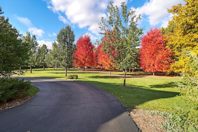 view of community with a lawn