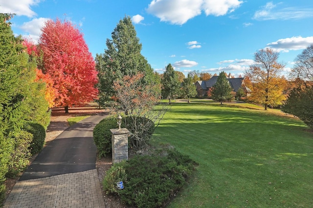 view of community with a yard