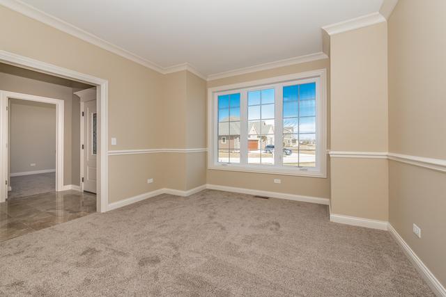 unfurnished room featuring crown molding and carpet floors