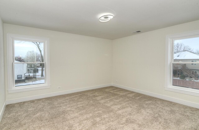 walk in closet featuring carpet flooring