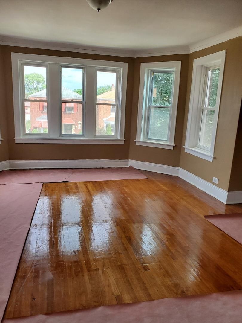 empty room featuring crown molding and light hardwood / wood-style floors