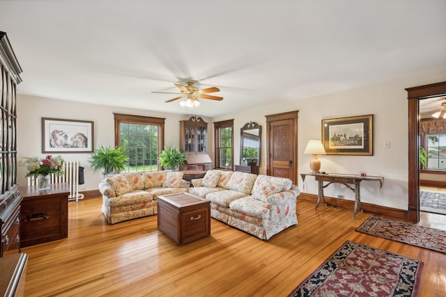 living room featuring light hardwood / wood-style flooring, ceiling fan, and radiator