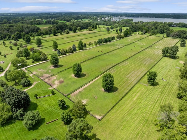 bird's eye view with a rural view and a water view