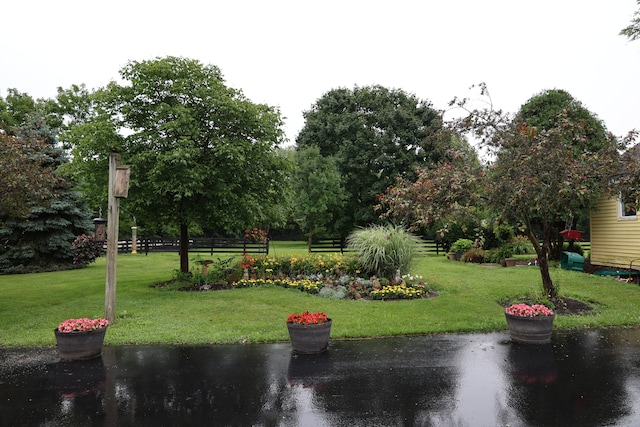 view of home's community featuring a yard