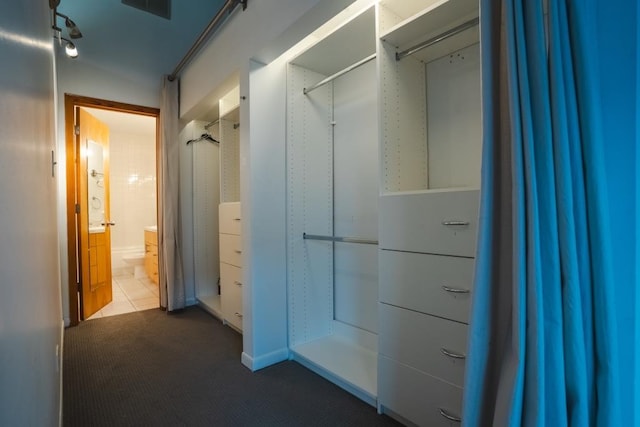 spacious closet featuring carpet