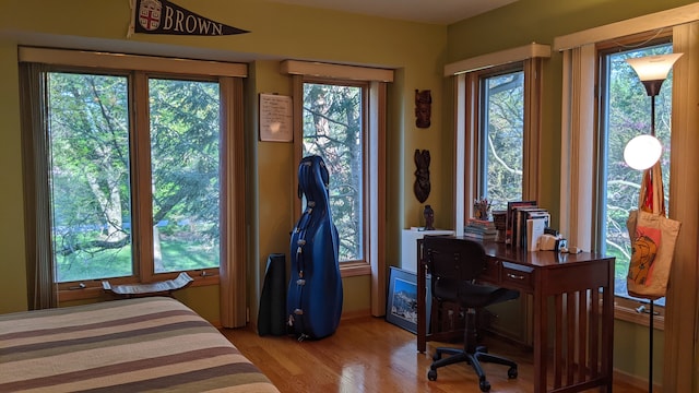 bedroom featuring light hardwood / wood-style floors