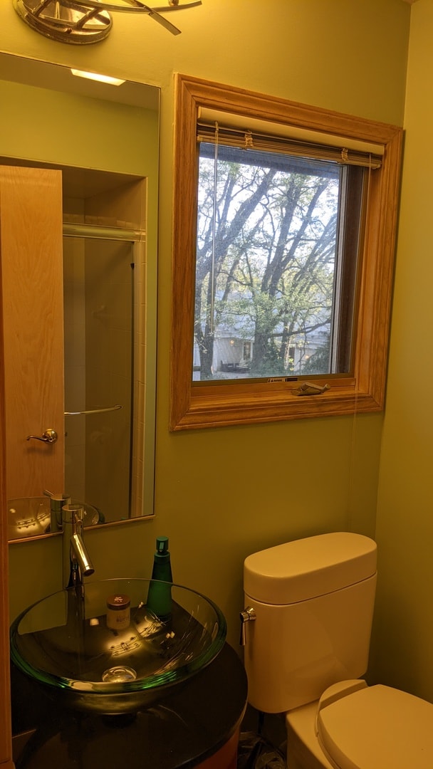 bathroom featuring toilet and a healthy amount of sunlight