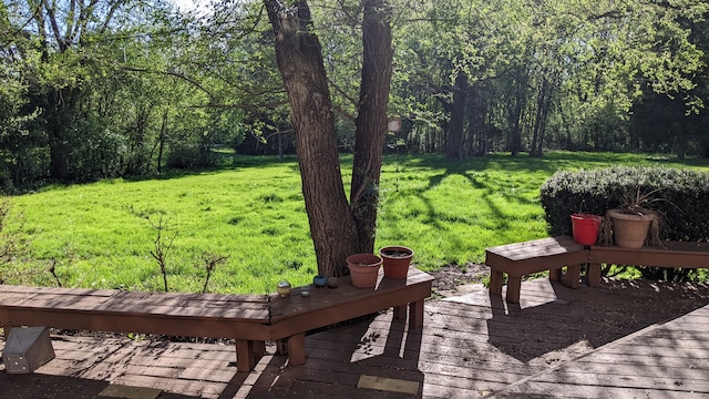 view of yard with a wooden deck