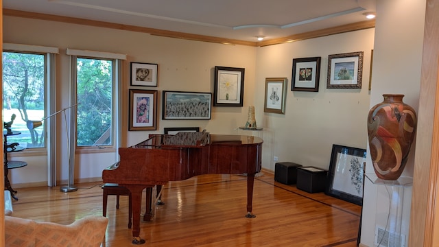 miscellaneous room featuring crown molding and light hardwood / wood-style flooring