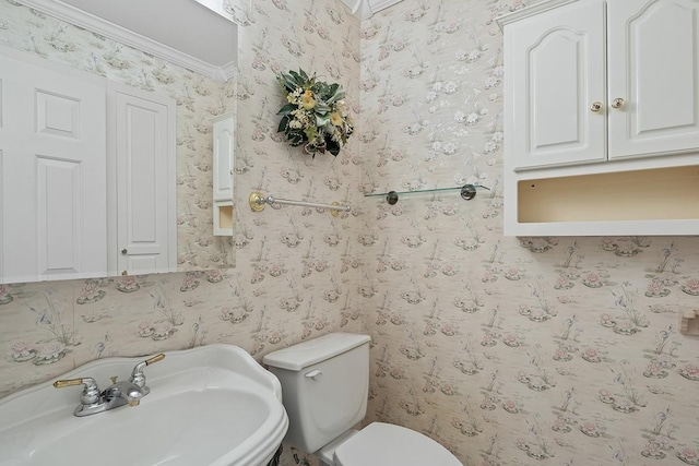 bathroom with crown molding, sink, and toilet