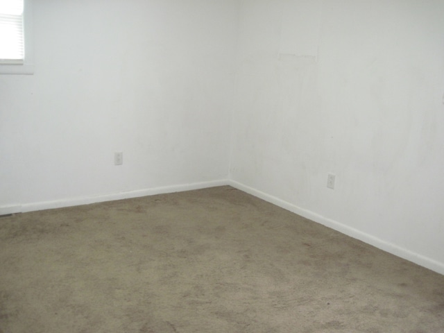 spare room with carpet floors