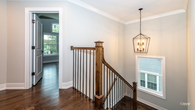 staircase with ornamental molding, a notable chandelier, and hardwood / wood-style flooring