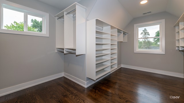 walk in closet featuring vaulted ceiling and dark wood-type flooring