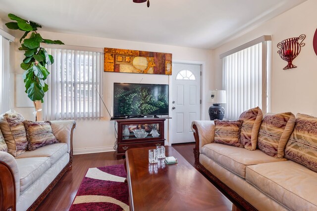 living room featuring plenty of natural light and dark hardwood / wood-style floors