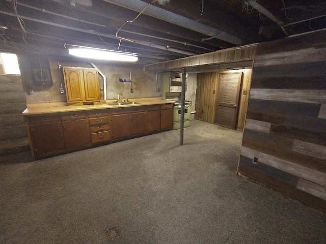 basement featuring sink