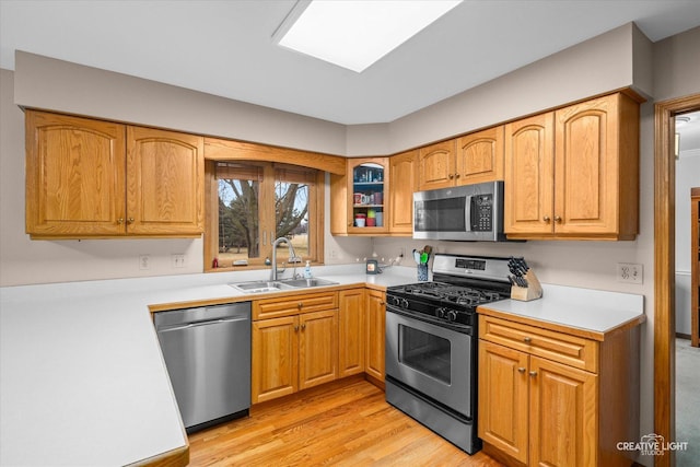 kitchen with a sink, stainless steel appliances, and light countertops