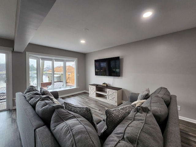 living room with dark hardwood / wood-style floors