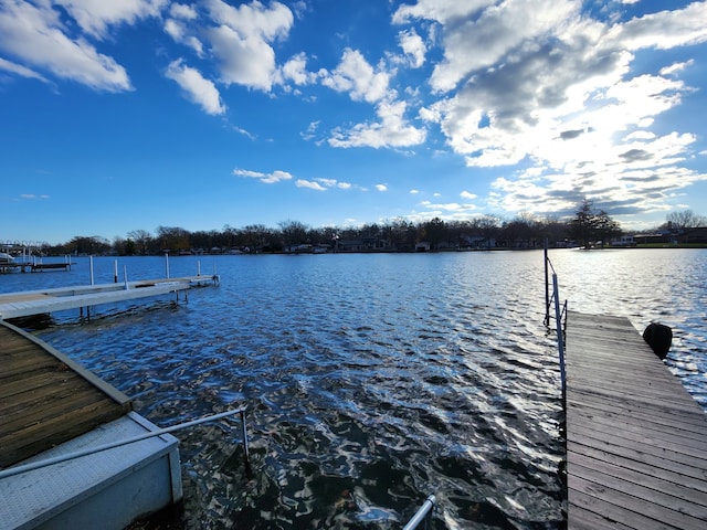 dock area with a water view