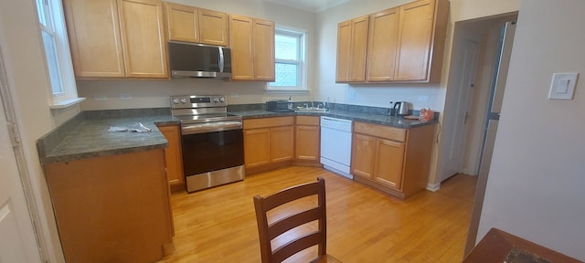 kitchen with sink, light wood-type flooring, and stainless steel appliances