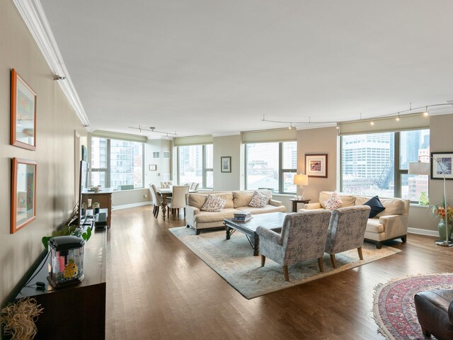 living room featuring crown molding, track lighting, and dark hardwood / wood-style flooring