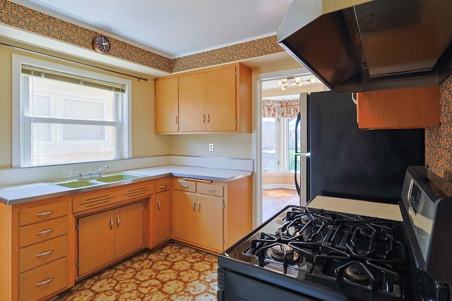 kitchen featuring ventilation hood, sink, black gas stove, and stainless steel refrigerator