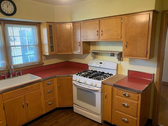 kitchen featuring sink, dark wood-type flooring, and white gas range oven