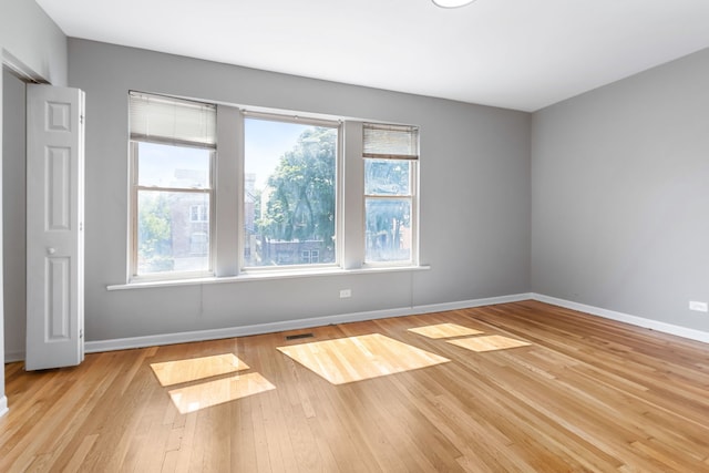 spare room featuring light wood-type flooring and plenty of natural light