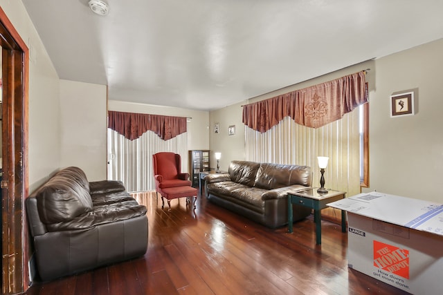 living room with dark wood-type flooring