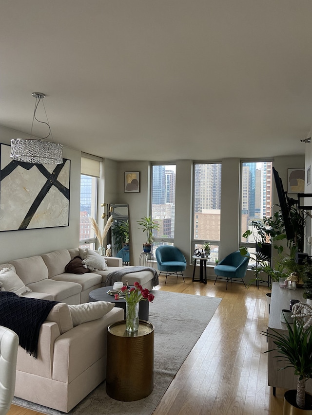 living room featuring expansive windows and light hardwood / wood-style flooring