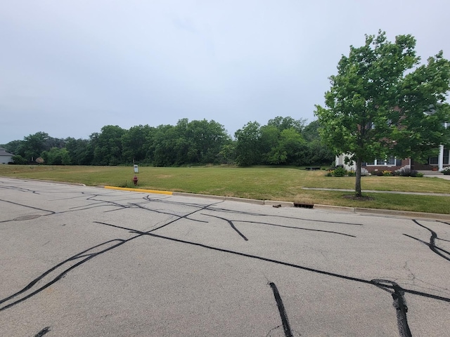 1009 Secretariat Dr, Genoa, IL 60135 - photo 5