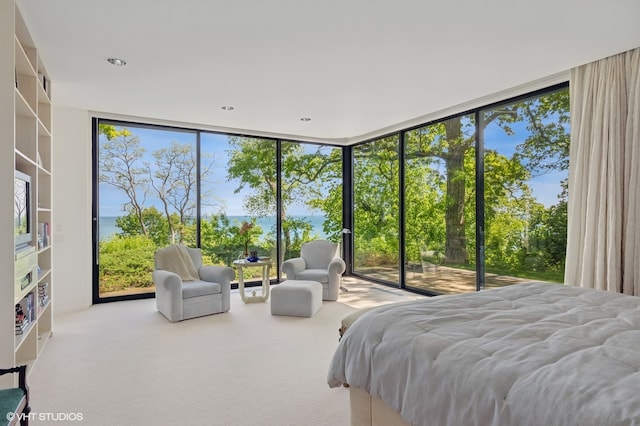 bedroom featuring a wall of windows, carpet flooring, and access to exterior