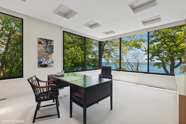 office space featuring a water view, light carpet, and a wealth of natural light