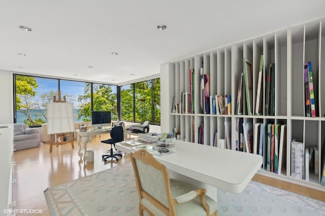 office area with a wall of windows and light hardwood / wood-style floors