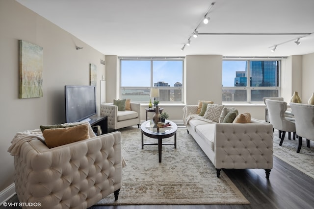 living room featuring rail lighting and hardwood / wood-style floors