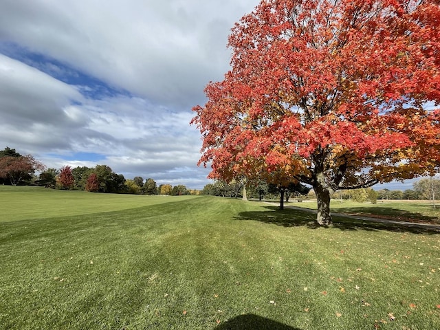 surrounding community featuring a yard