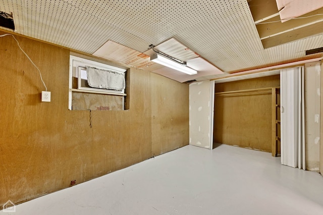 basement with wooden walls