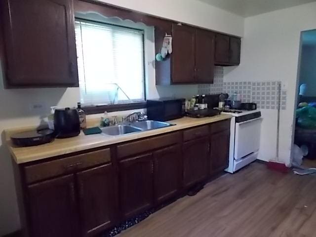 kitchen featuring sink, dark brown cabinets, dark hardwood / wood-style floors, tasteful backsplash, and white range oven