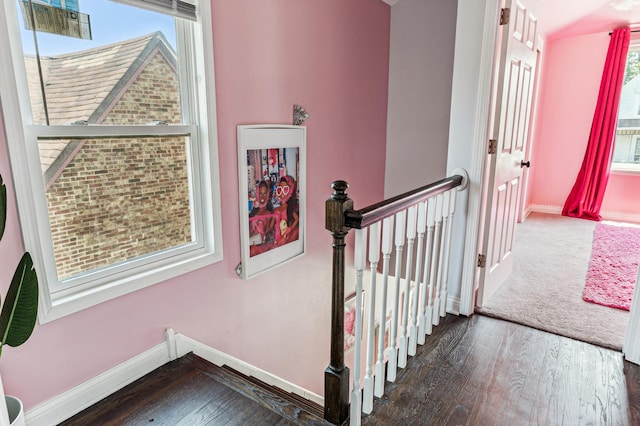 stairway with hardwood / wood-style floors