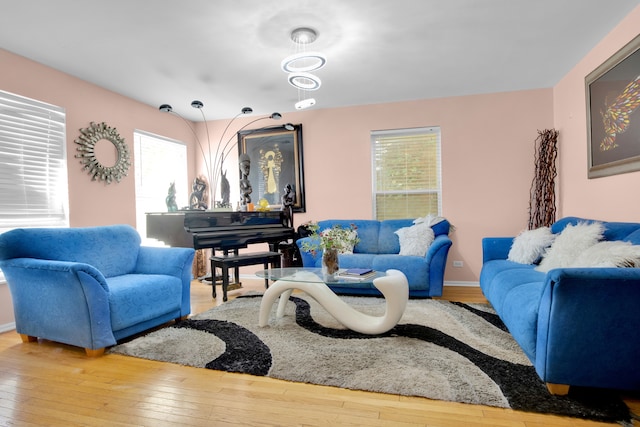 living room featuring wood-type flooring