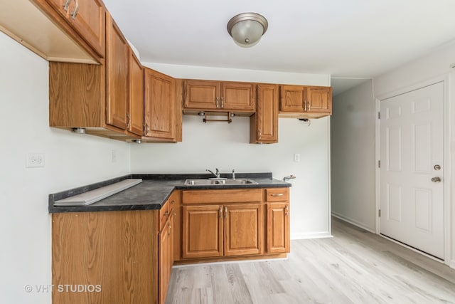 kitchen with light wood-type flooring and sink