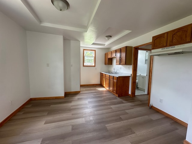 kitchen with a raised ceiling, light hardwood / wood-style flooring, and sink