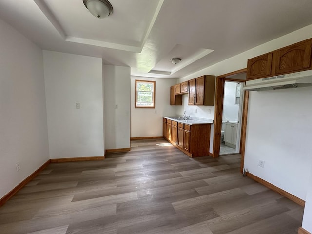 705 N Cottage Ave, Kankakee, IL 60901 - kitchen featuring under cabinet range hood, a tray ceiling, wood finished floors, and light countertops